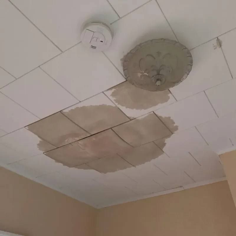 Ceiling Water Damage Repair in Sheffield, OH