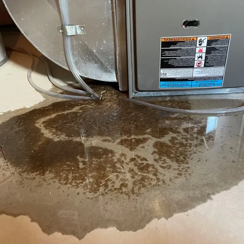 Pipe Burst and Leak Restoration in Sheffield, OH