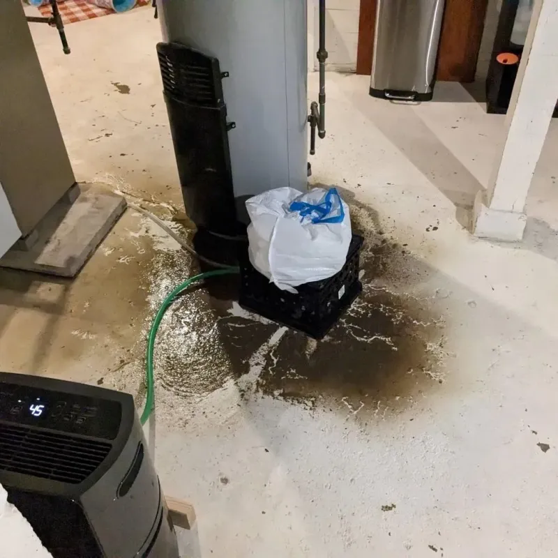 Sewage Backup Cleanup Service in Sheffield, OH
